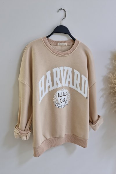 DK 3041 Harvart yazılı sweat